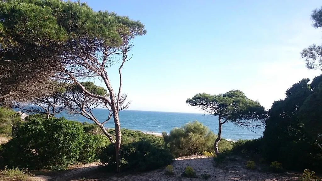 Apartment Star Rota